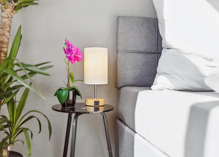 Appartement Dresdenstay Gemuetlich Naehe Zentrum Und Elbe Kamin Ps4 Dresden