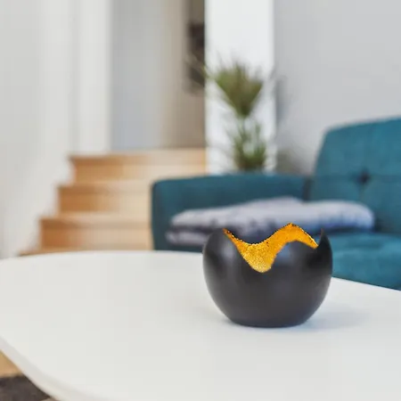 Dresdenstay Gemuetlich Naehe Zentrum Und Elbe Kamin Ps4 Appartement Dresde