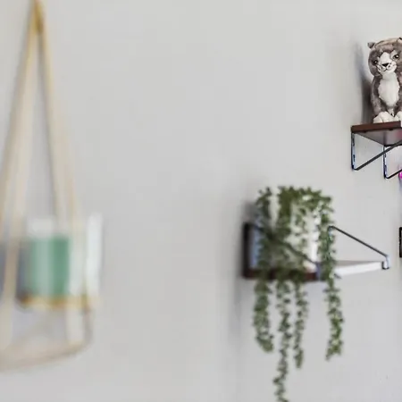 Dresdenstay Gemuetlich Naehe Zentrum Und Elbe Kamin Ps4 Appartement