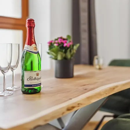 Dresdenstay Gemuetlich Naehe Zentrum Und Elbe Kamin Ps4 Dresde